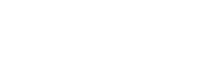 İstinye Üniversitesi